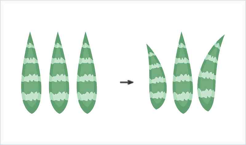 AI绘画教程：如何绘制多种植物与自然景观的全指南