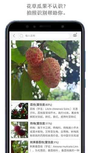 AI植物识别：智能ALAR自动识别软件
