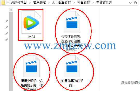 ai生成物理动画软件有哪些