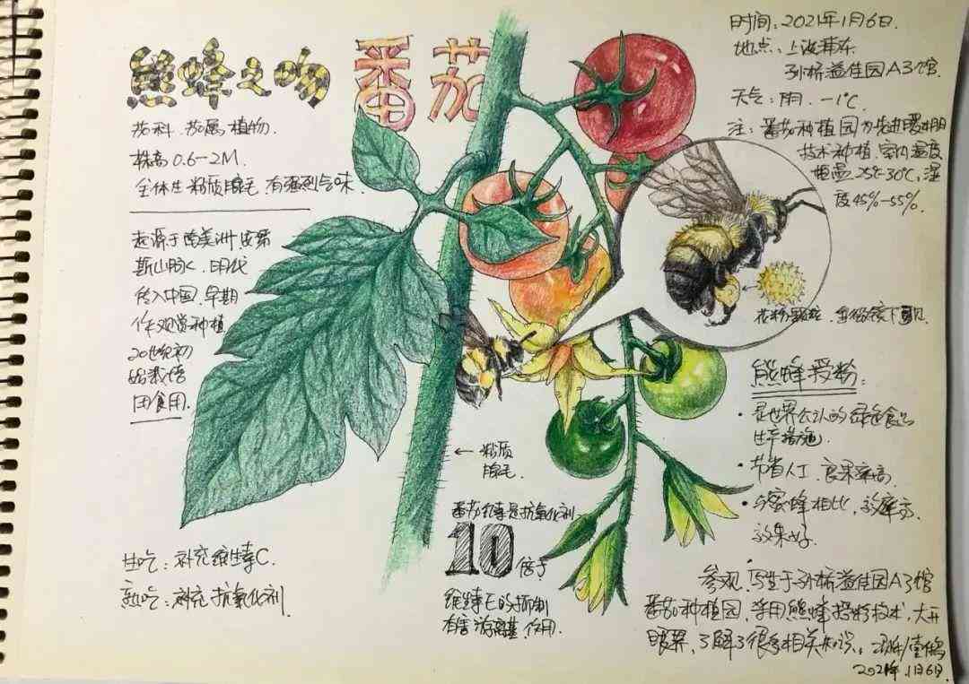 为什么绘画生成工具无法生成作品了？探究问题原因与解决方法