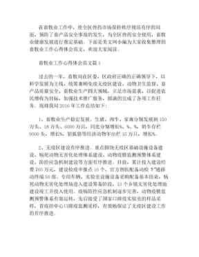 斑马AI续课培训心得体会：总结、感悟与范文撰写指南