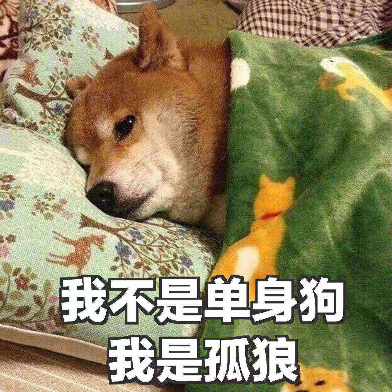文案狗AI写作软件怎么样：好用吗及使用方法介绍