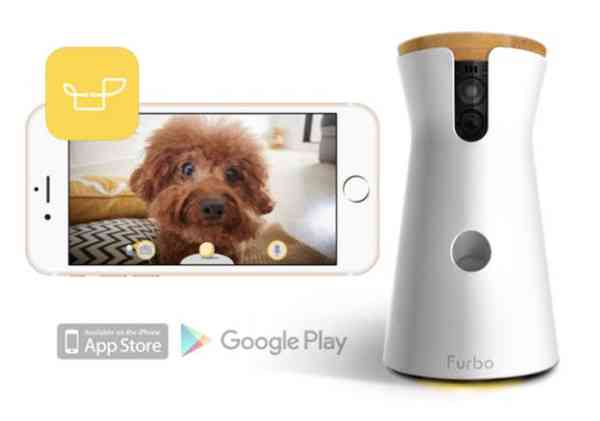 智能宠物用品：AI定制专属宠物装备