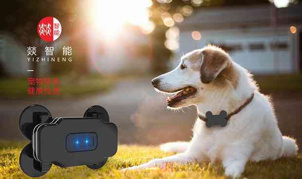 智能宠物用品：AI定制专属宠物装备