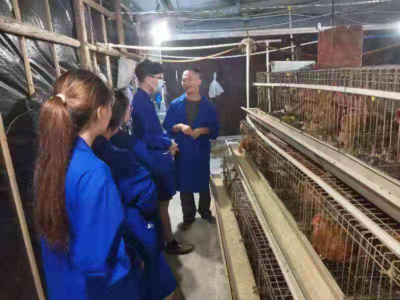 AI动物语音模拟软件免费：支持多种动物语言与功能全解析