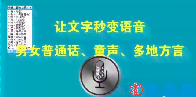 方言语音配音制作：如何将文字转化为视频中的地道方言配音