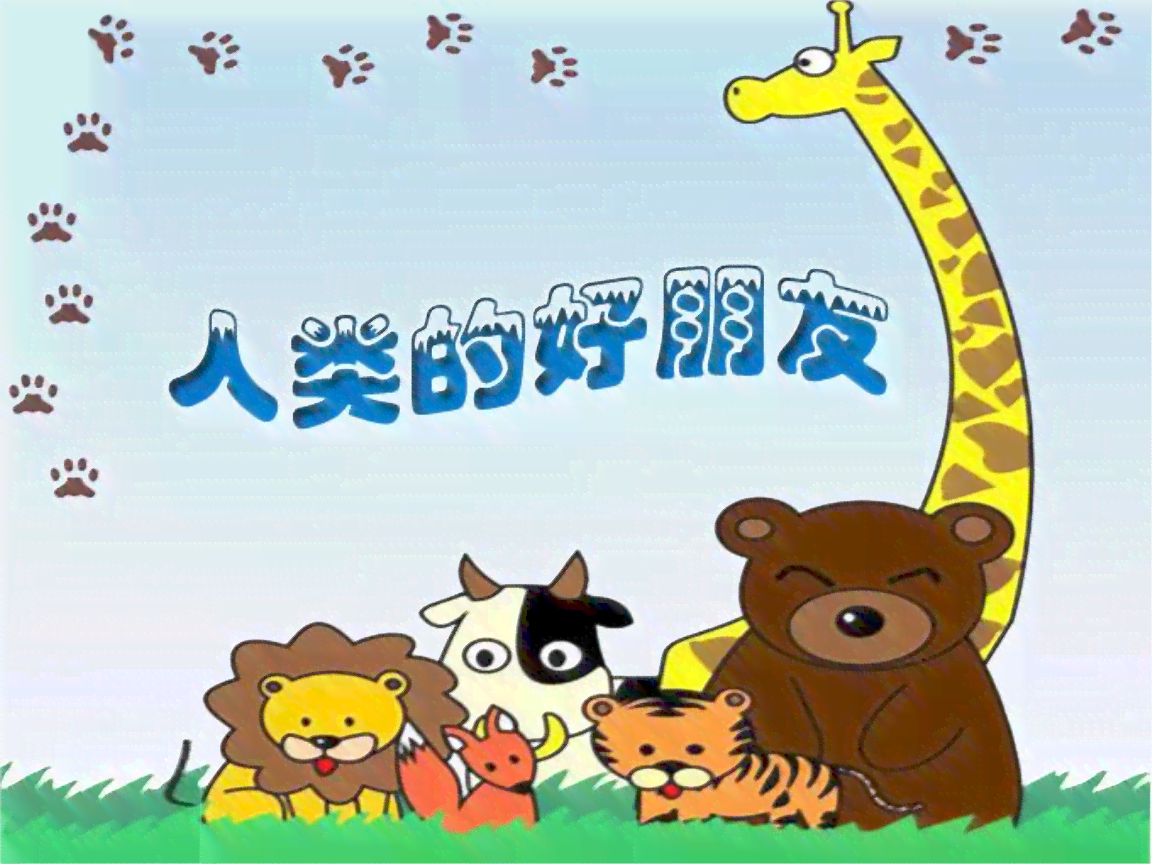 动物派对策划与执行专家：打造难忘野生动物主题宴