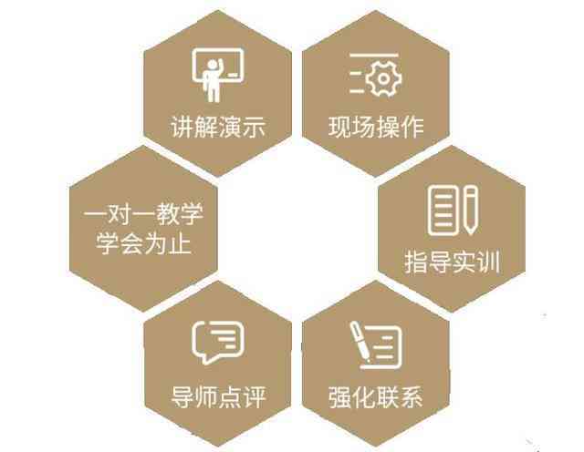 猫智慧培训学校：专业课程、认证师资、全方位技能提升平台