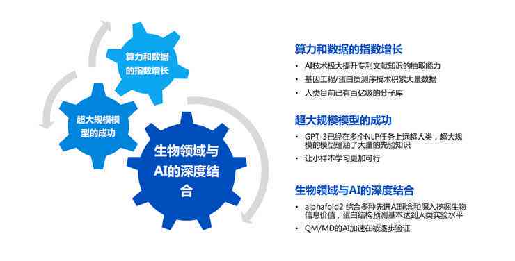 人工智能解决方案架构师：全方位技术集成与定制化服务专家