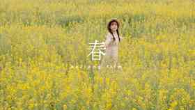 春油菜花田人像摄影攻略：打造唯美写真与油菜花海的完美融合