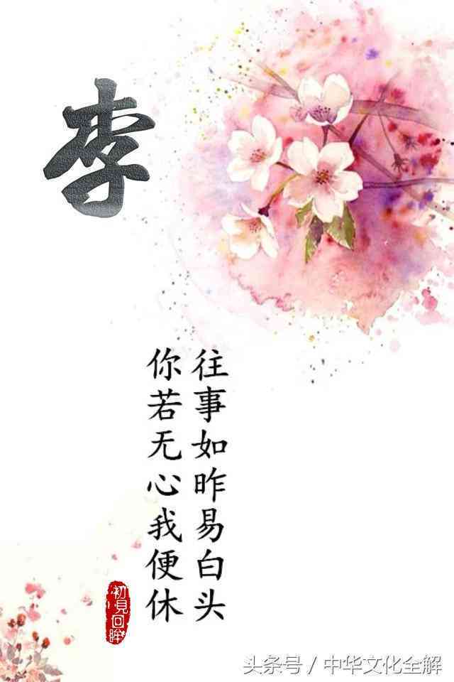 免费制作壁纸：含自己名字的永久免费推荐与