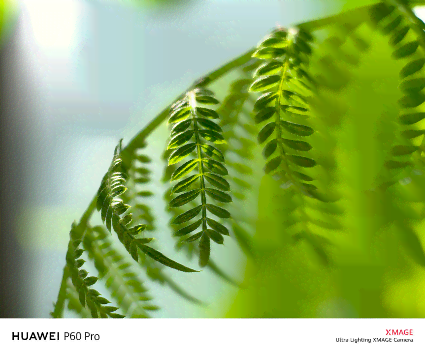 ai可以生成植物吗