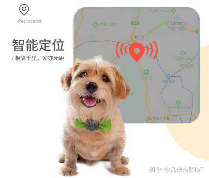 全方位智慧猫创意解决方案：满足宠物主人多样化需求与智能互动体验