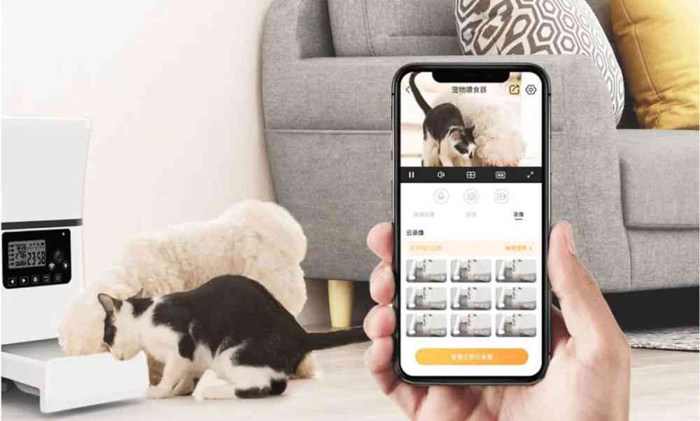 全方位智慧猫创意解决方案：满足宠物主人多样化需求与智能互动体验