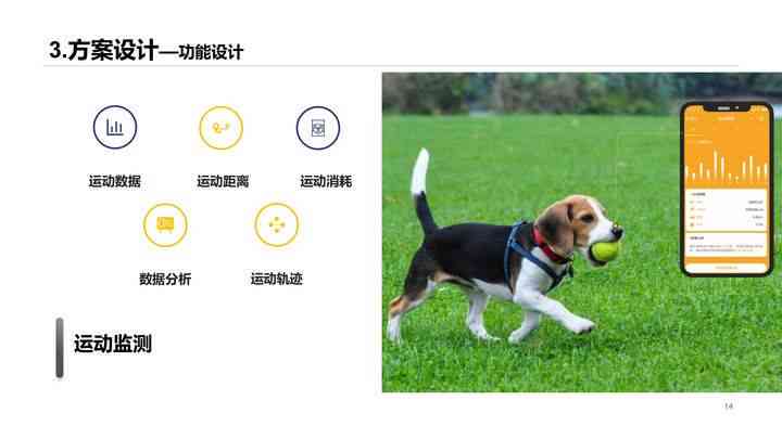 全方位智慧猫创意解决方案：满足宠物主人多样化需求与智能互动体验