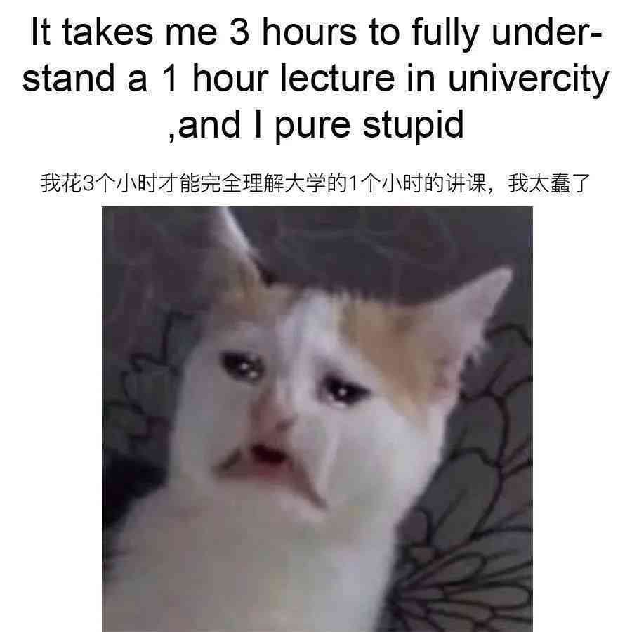 快写作业：表情包壁纸及英文表达（Hurry Up Homework）