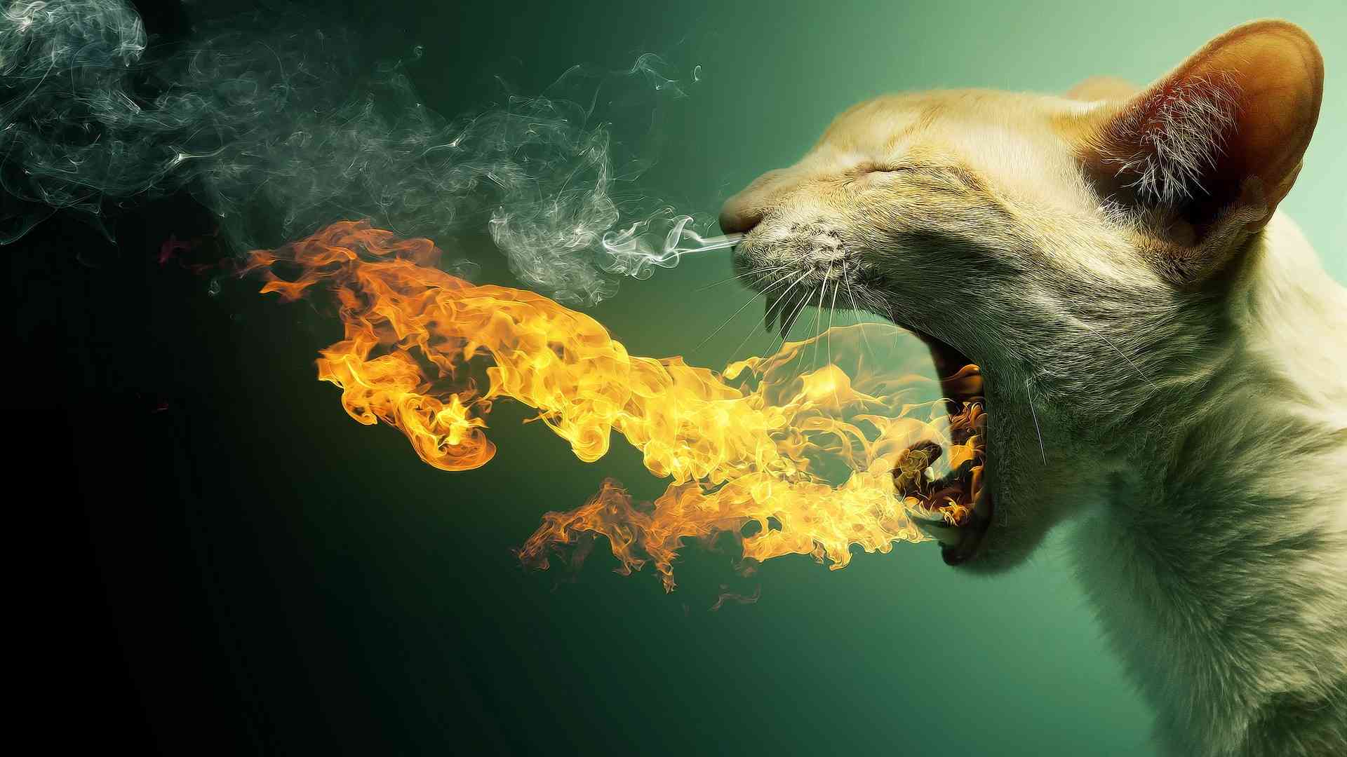 ai生成动物写真