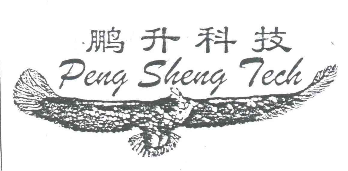 升腾科技-升腾科技怎么样