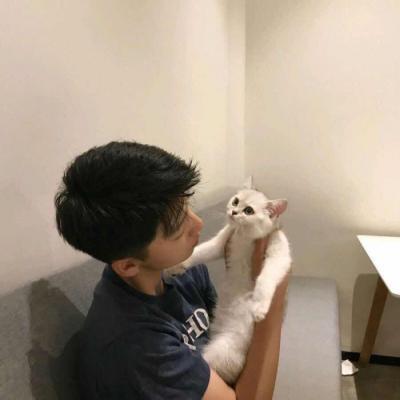 情侣头像配对神器：哪些软件免费制作情侣头像？安软件与指南
