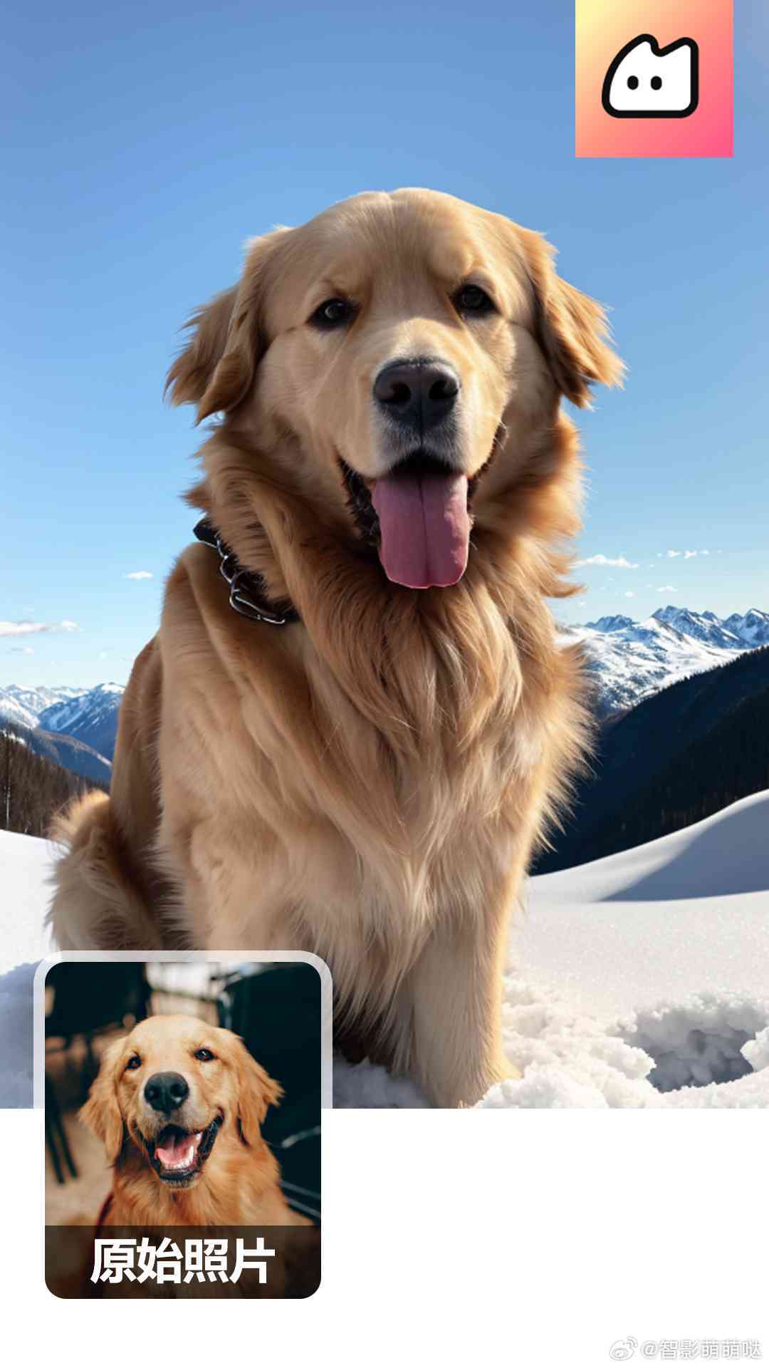 ai写真生成狗