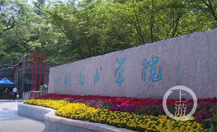 AI智能生成沉浸式风景视频，打造独特景观体验