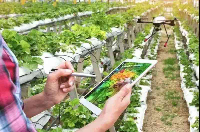 探索现代农业：全面盘点高效农业科技创新中的AI生成工具与应用