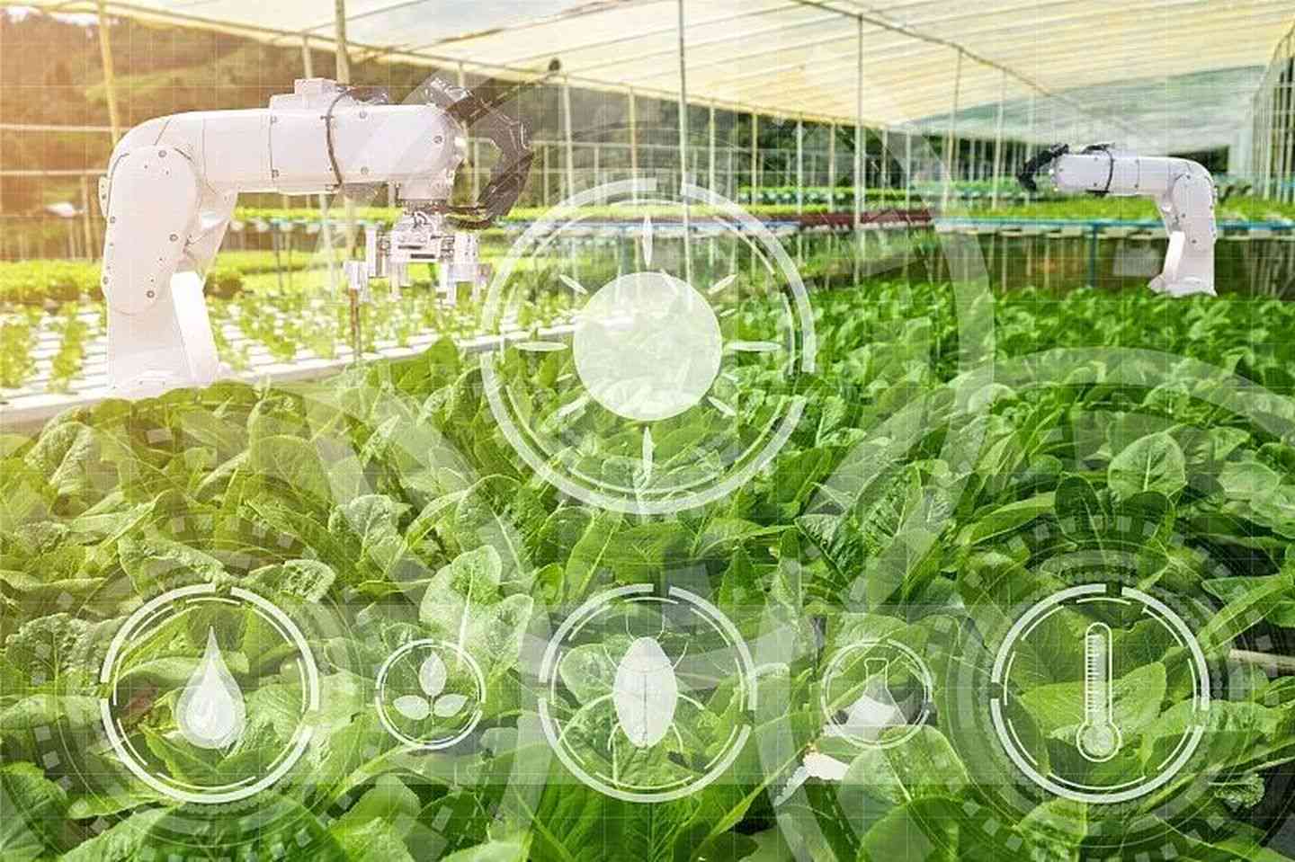 现代高效农业类科技创新ai生成工具