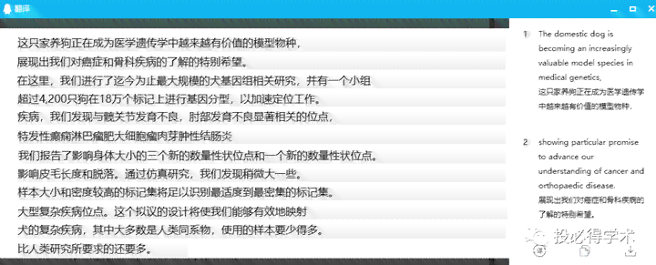 英语作文生成软件：推荐与优劣对比指南