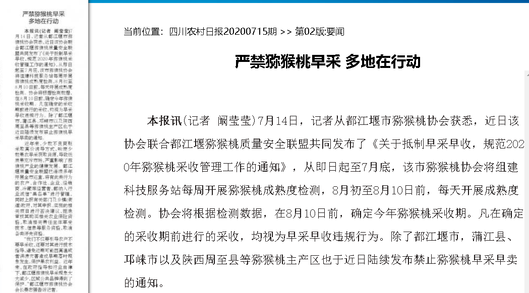 探讨AI辅助写作业的利与弊：为何应避免仅依AI完成作业的全面分析
