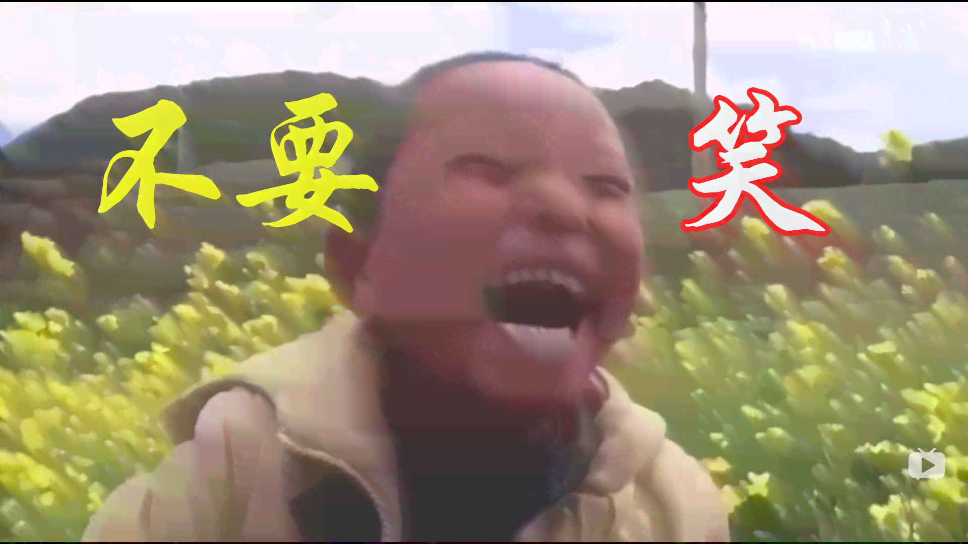 精选搞笑子合集：笑翻全场，解决你的快乐需求