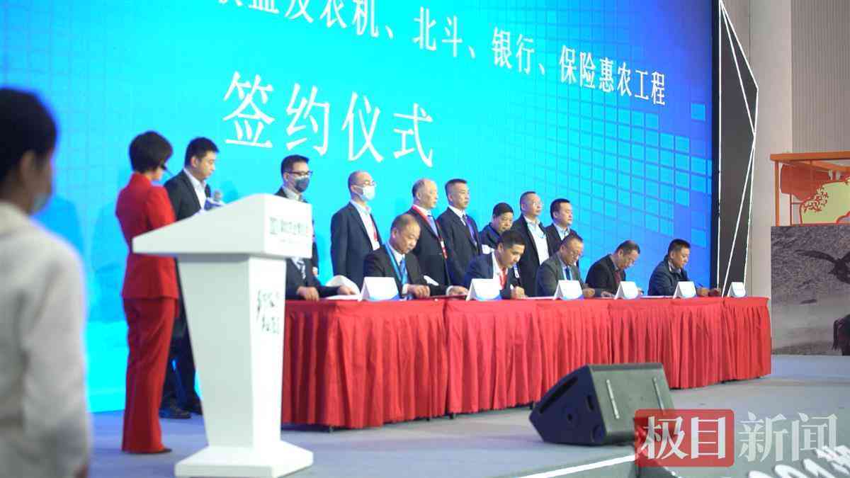 数字乡村海报：20个经典案例解析与主题设计精选
