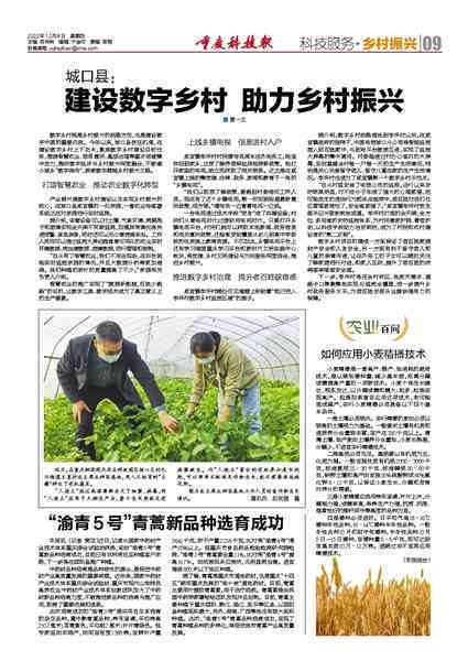 数字建设助力乡村振兴：创新标语推动发展