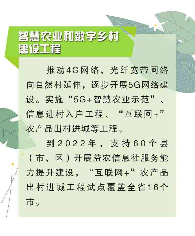 数字建设助力乡村振兴：创新标语推动发展