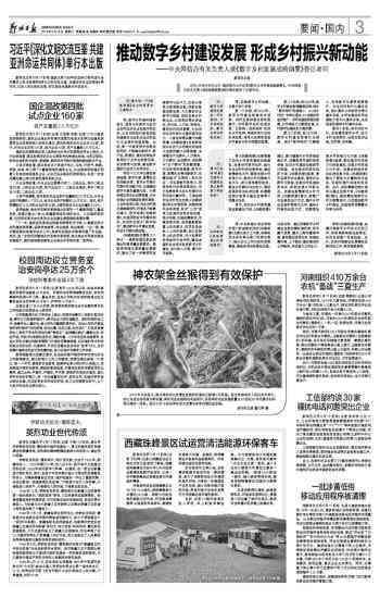 数字建设助力乡村振兴：创新标语推动发展