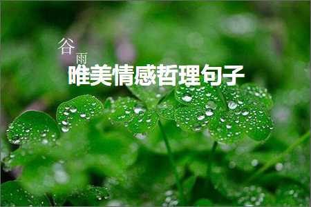 精选文案美句汇编：涵各类情感、哲理与生活感悟的优雅句子集锦