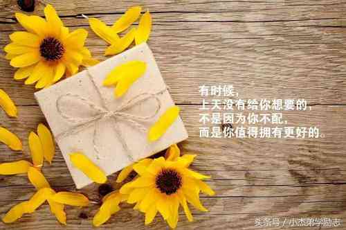 精选文案美句汇编：涵各类情感、哲理与生活感悟的优雅句子集锦