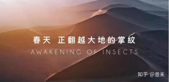 揭秘中国文案界翘楚：2023年度文案大师排名与成就盘点
