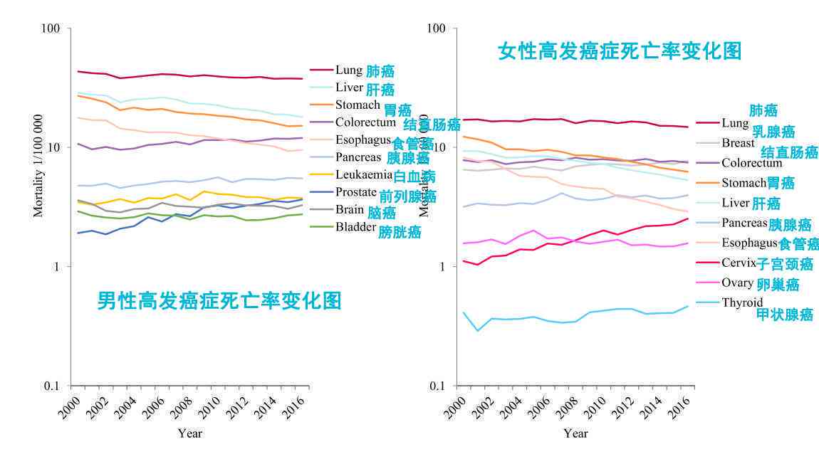 ai的报告：癌的报告单解读与爱的报告泰剧版本及文案解析