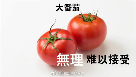 番茄ai写作怎么打开