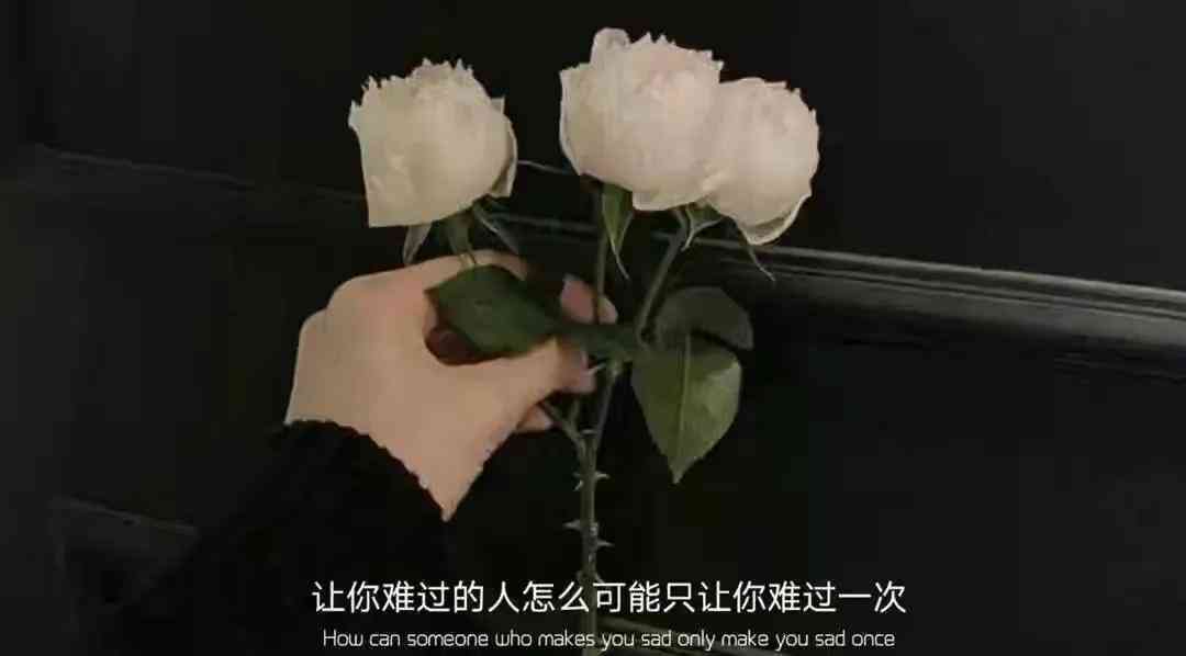 全方位解读爱情文案：探索情感表达的艺术与技巧