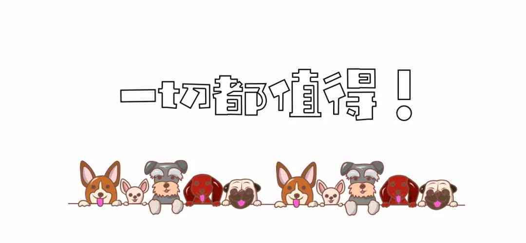 《我们与宠物朋友的暖陪伴》：一本记录生活快乐的可爱设计画册文案