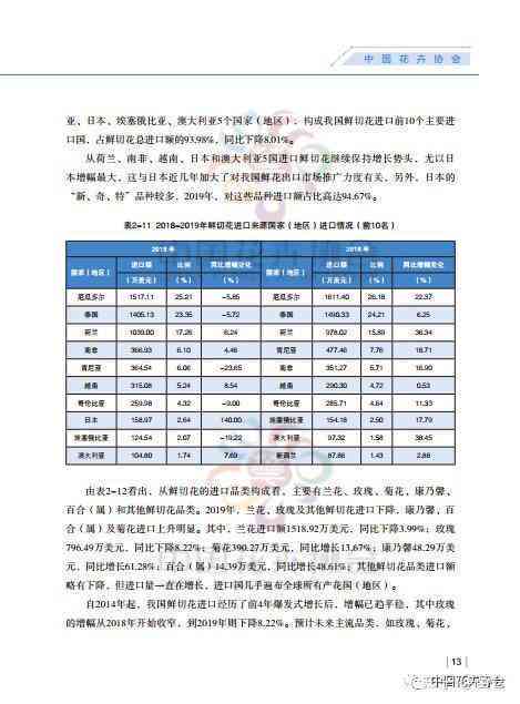 足球比赛数据分析报告模板撰写指南：如何高效利用数据进行分析与报告制作