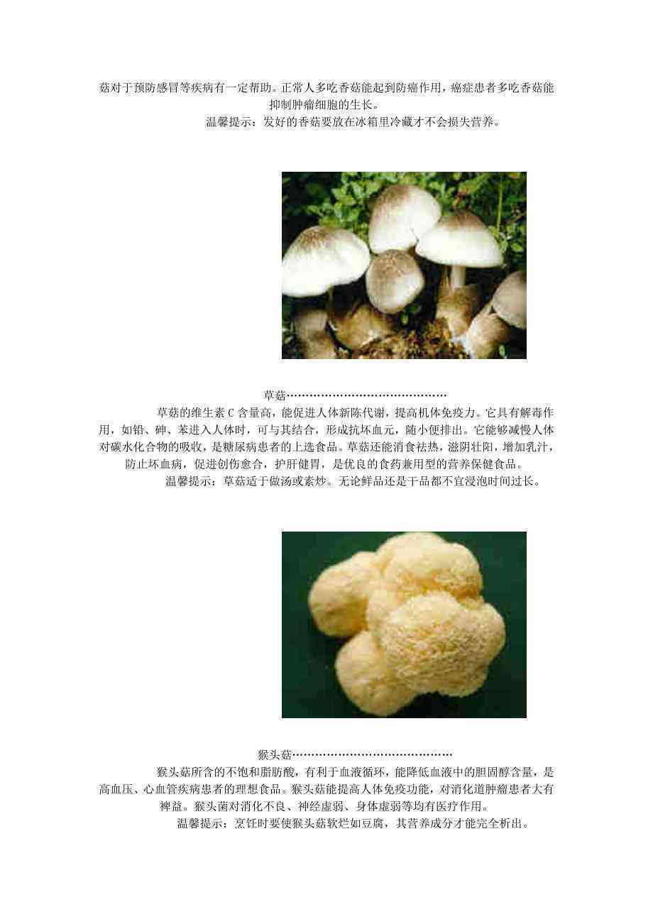 全方位解析：蘑菇营养、种植、食谱及常见问题解答指南