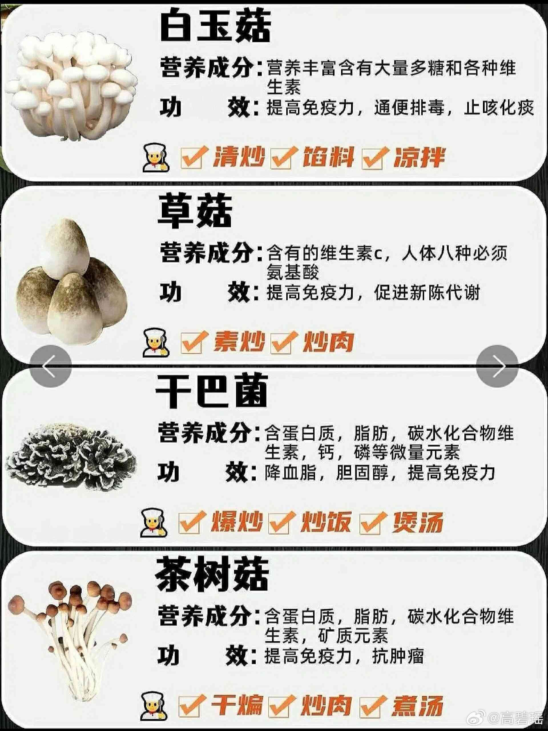 全方位解析：蘑菇营养、种植、食谱及常见问题解答指南
