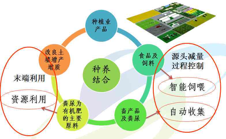 全方位解析：蘑菇营养、种植、食谱及常见问题解答指南