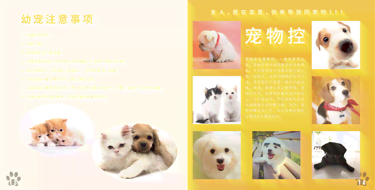 全方位宠物画册攻略：收录热门宠物绘画教程与精选作品集锦