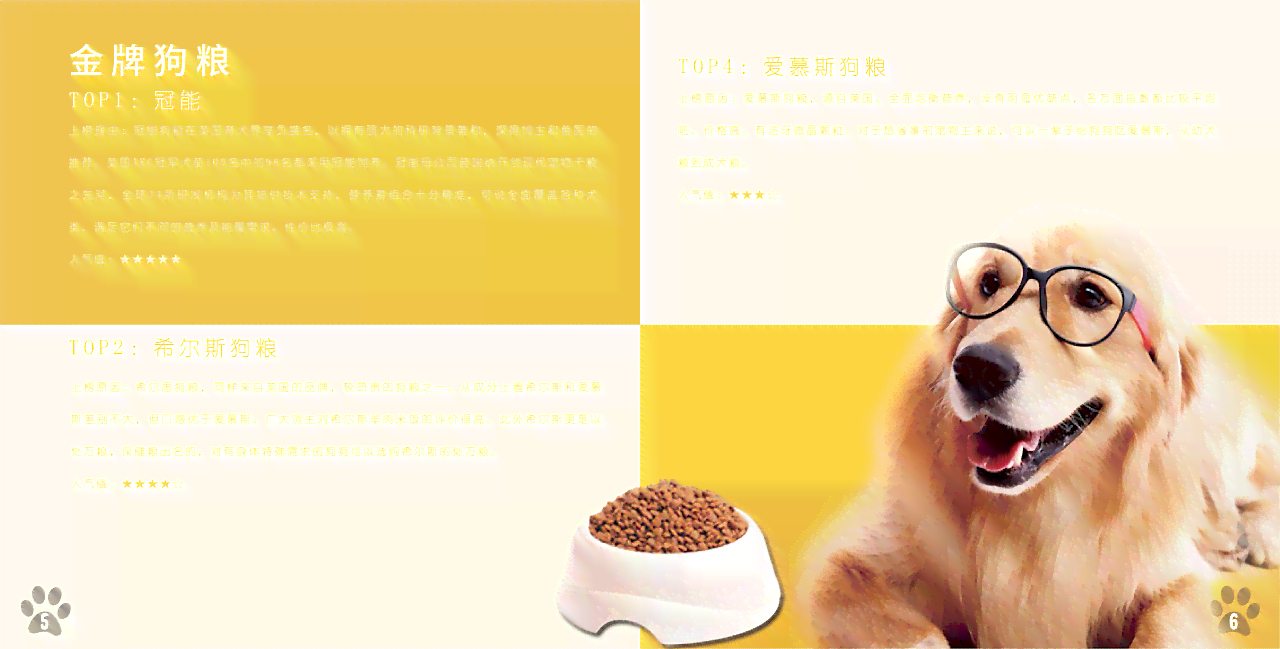 全方位宠物画册攻略：收录热门宠物绘画教程与精选作品集锦
