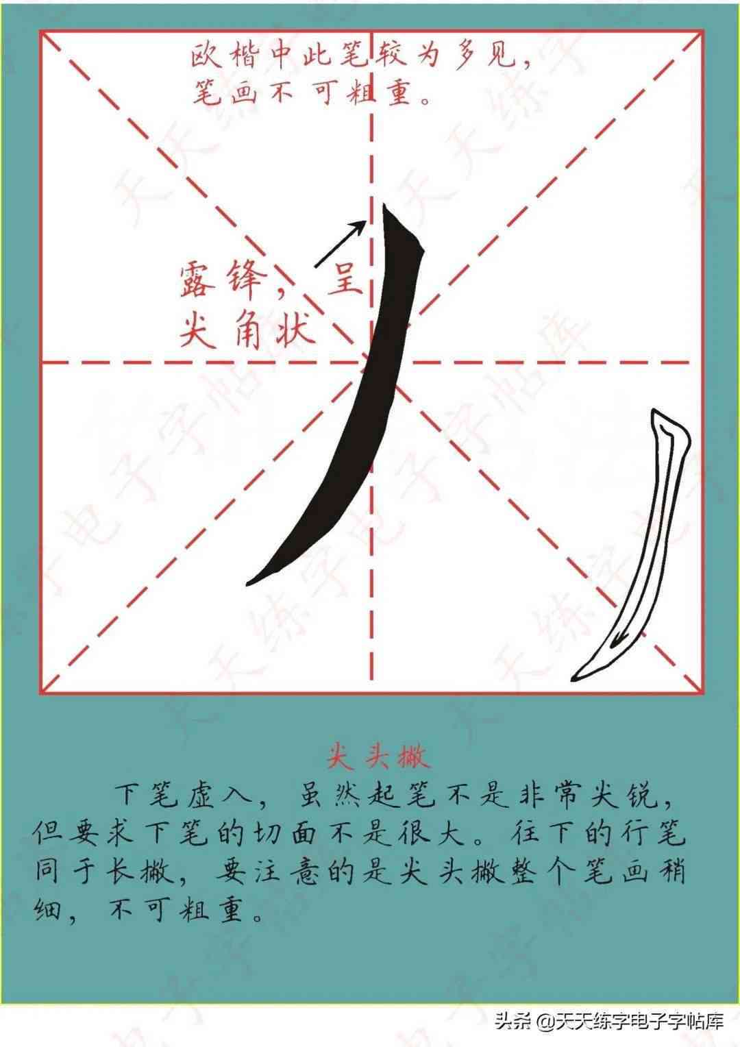 云书写：笔顺云书写，智能学伴侣
