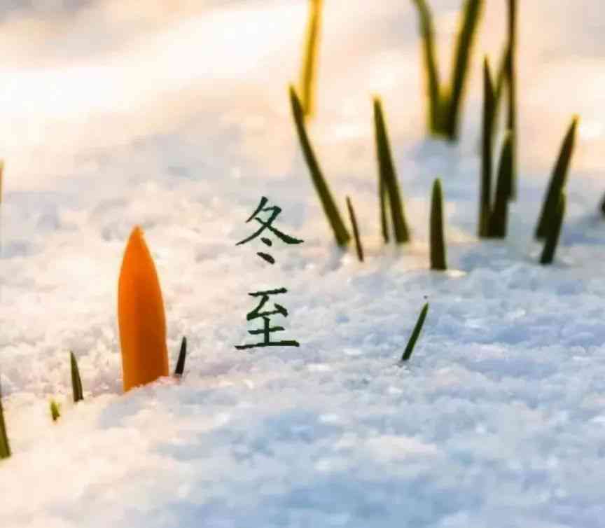 她的关于花的唯美句子：在寒风中书写关于于花的说说与文案诗词