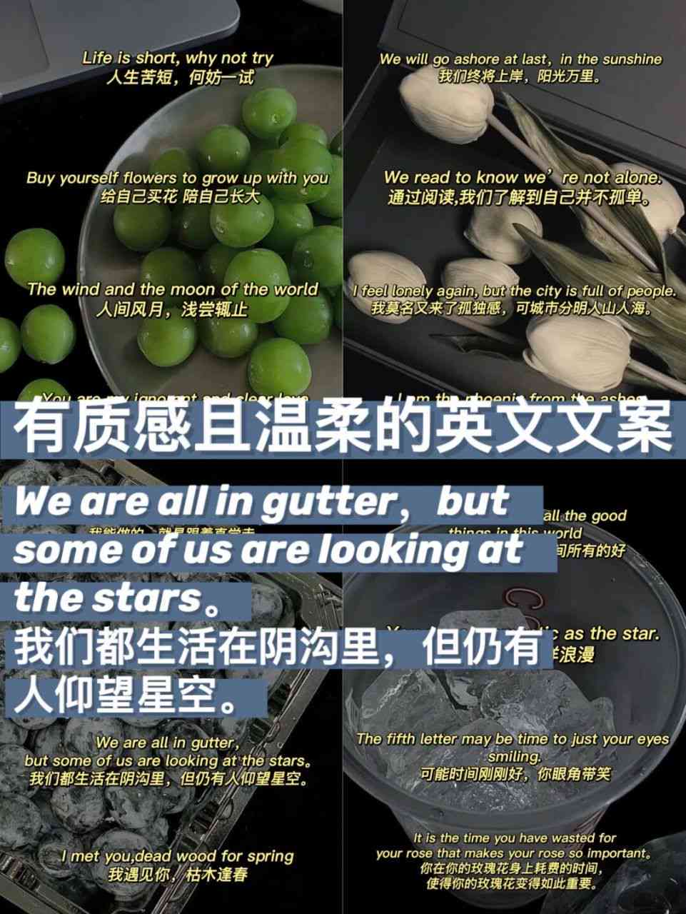 闪闪AI最火简短文案句子中英对照大全